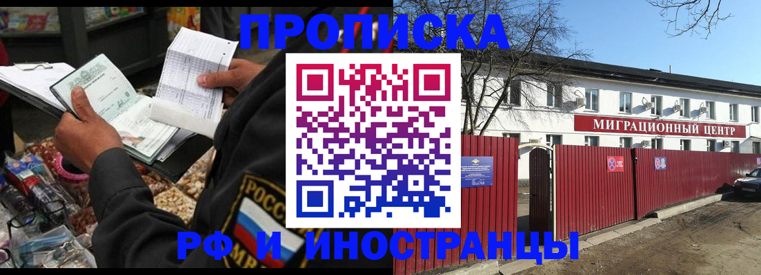 прописка поиск в Бабаево